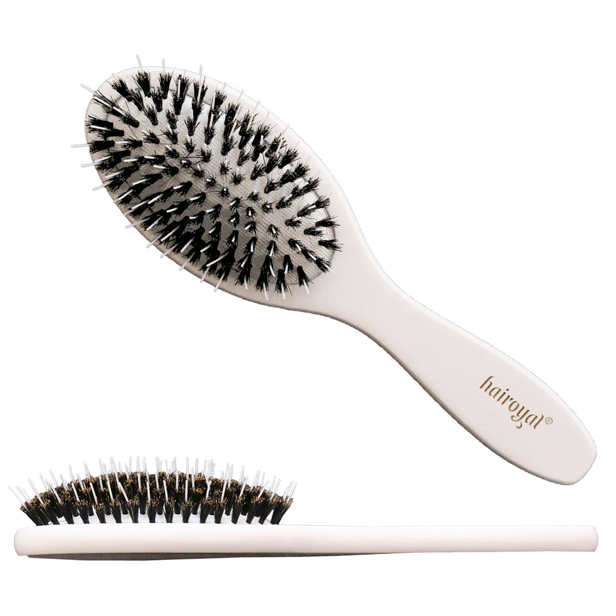 Schulung inkl. Bonding-Extensions-Starterset